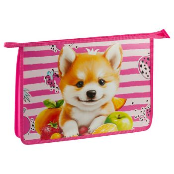 Папка для тетр 1от А4 ArtSpase "Corgi" пластик,на молнии 0001