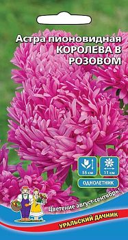 Цветы Астра Королева в розовом пионовидная ц/п Марс