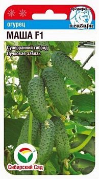 Огурец Маша F1 ц/п 5шт СибС