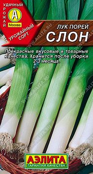 Лук порей Слон ц/п Аэлита*28