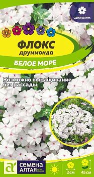 Цветы Флокс Белое Море друммонда/Сем Алт/цп 0,1 гр. (2026 / 21760)
