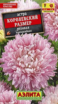 Цветы Астра Королевский размер розовая ц/п Аэлита*29
