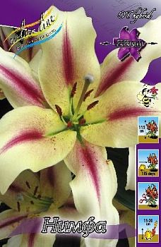 Лилия Нимфа 12/14 2шт