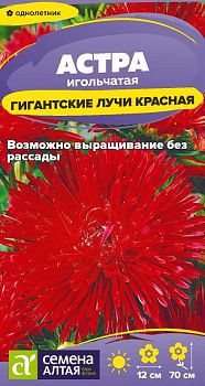 Цветы Астра Гигантские лучи Красная/Сем Алт/цп 0,2 гр. (2028)