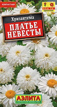 Цветы Хризантема махровая Платье невесты ц/п Аэлита *28