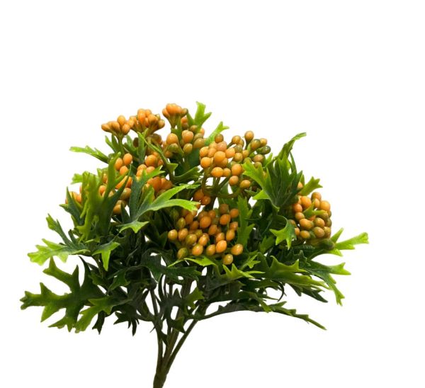 26885-PhotoRoom.png-PhotoRoom_1