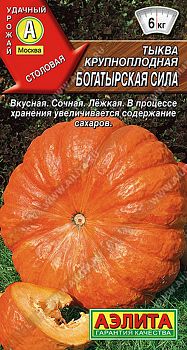 Тыква крупноплодная Богатырская сила ц/п Аэлита*29