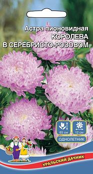 Цветы Астра Королева гигантов в серебристо-розовом пионовидная ц/п Марс