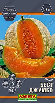Дыня Бест Джумбо ц/п Аэлита*29