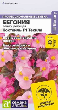 Цветы Бегония Коктейль F1 Текила вечноцветущая/Сем Алт/цп 5 шт. (2029)