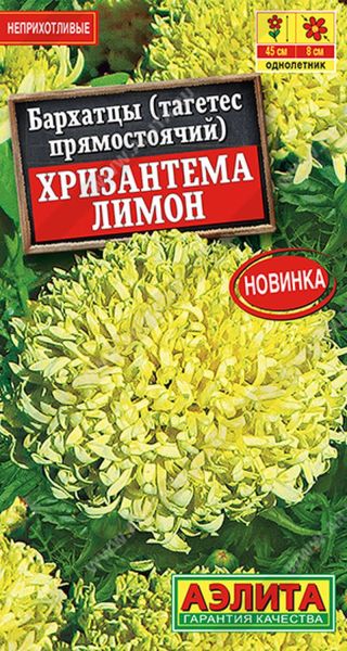 6e69fce0_61bd_11ed_810f_0cc47adb9c64_89acfabe_046b_11ee_811e_0cc47adb9c64