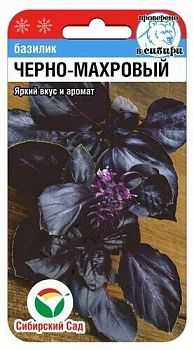 Базилик Черно-махровый ц/п 0,5г СибС