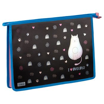 Папка для тетр 1от А4 325*230*55 лам.карт. фольга,на молнии 48942