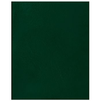 Тетрадь 48л КЛЕТ бумвинил, зеленый суперэконом