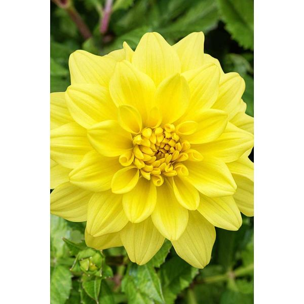 0vaj2dmbzdi0jwrztpr0tkb4iyyr0x8s