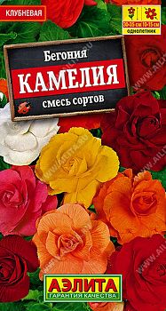 Цветы Бегония Камелия крупноцветк, смесь ц/п 10шт Аэлита*28