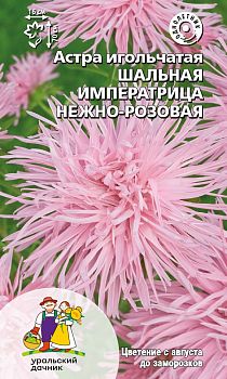 Цветы Астра Шальная императрица нежно-розовая ц/п Марс (игольчатая)