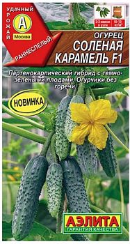 Огурец Соленая карамель ц/п Аэлита*29