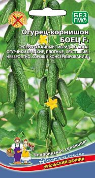 Огурец Боец - корнишон F1 ц/п Марс 
