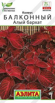 Цветы Колеус балконный Алый бархат ц/п Аэлита*28 од
