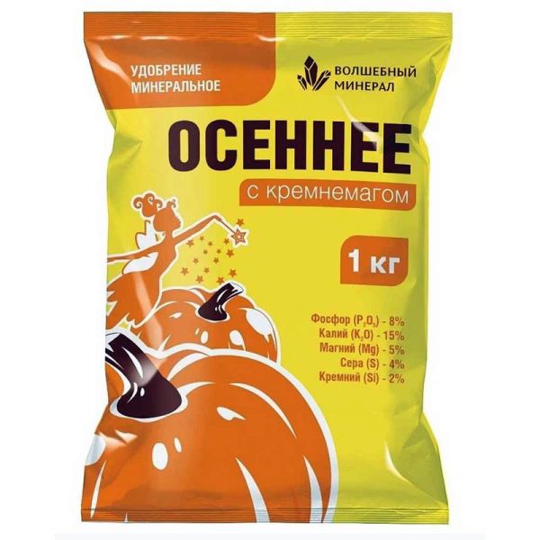 40551