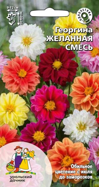 georgina-zhelannaya-smes