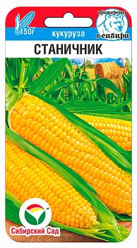 Кукуруза Станичник ц/п 6шт СибС