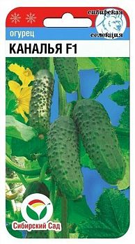 Огурец Каналья F1 ц/п 7шт СибС