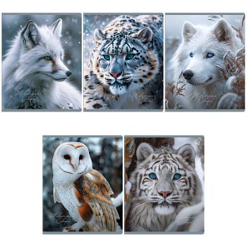 Тетрадь 48л КЛЕТ BG "Животные севера" тиснение фольгой /по 4шт Т5ск48_тф 64172