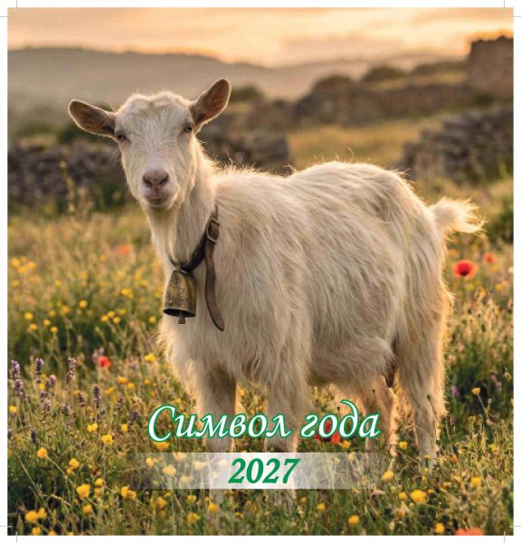 230x220_koza_DOP-obl-2027-print-изображения-0