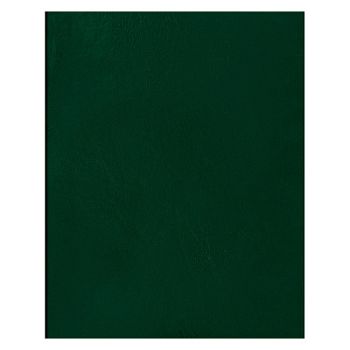 Тетрадь 80л КЛЕТ A4 бумвинил зеленый