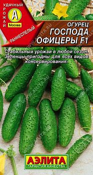 Огурец Господа офицеры F1 ц/п Аэлита*29