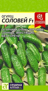 Огурец Соловей Fl /Сем Алт/цп 0,3 гр. (2030)