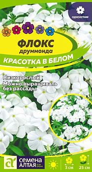 Цветы Флокс Красотка в белом Друммонда/Сем Алт/цп 0,05 гр. (2028)