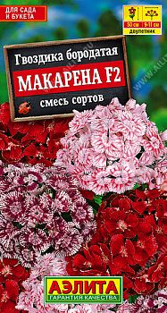 Цветы Гвоздика Макарена F2, смесь сортов ц/п Аэлита *28