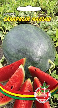 Арбуз Сахарный Малыш (Шуга Бейби) ц/п Марс (ранний  )
