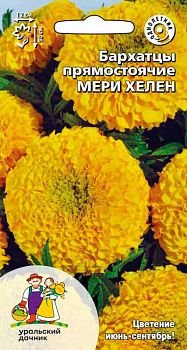 Цветы Бархатцы прямостоячие Мери Хелен ц/п Марс