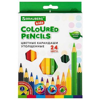 Карандаши 24цв BRAUBERG KIDS УТОЛЩЕННЫЕ грифель 5мм 1/4