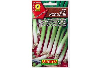 Лук батун Исполин ц/п Аэлита*28