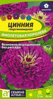 Цветы Цинния Фиолетовая Королева георгиноцв./Сем Алт/цп 0,2 гр. (209)