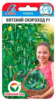 Огурец Вятский скороход ц/п 6шт СибС