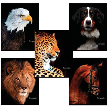 Тетрадь 48 листов клетка "Животные" BRAUBERG картонная обложка 10шт 403034