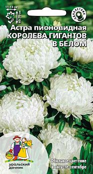 Цветы Астра Королева гигантов в белом пионовидная ц/п Марс