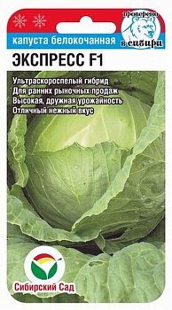 Капуста белокочанная Экспресс F1 ц/п 25шт СибС