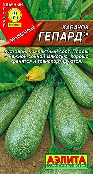 Кабачок цуккини Гепард ц/п Аэлита *28