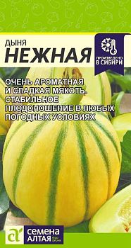 Дыня Нежная/Сем Алт/цп 0,5 гр. (2029)