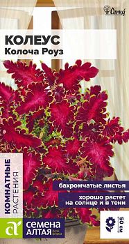Цветы Колеус Колочка Роузт/Сем Алт/цп 5 шт. (2028)