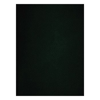 Тетрадь 48 листов клетка бумвинил  зеленый Т4бв48к_12322