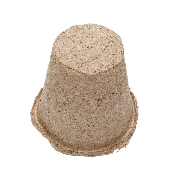 xzkd9w0b4azx01sqpy59ug2irripgi7e