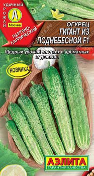 Огурец Гигант из поднебесной F1 ц/п Аэлита *29
